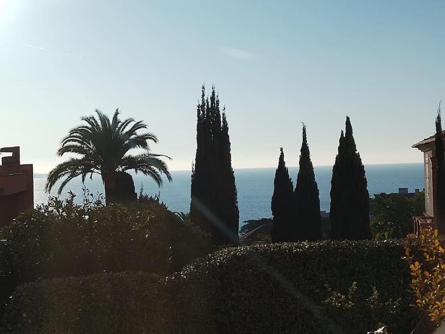 Residence De Luxe Sun Paradis, Studio Terrasse, Vue Mer Piscine 戛纳 外观 照片