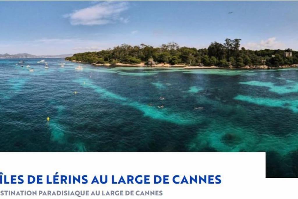 Residence De Luxe Sun Paradis, Studio Terrasse, Vue Mer Piscine 戛纳 外观 照片